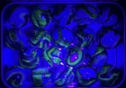 Jabo Collector Marbles    joker Ultra  Run Collection Tin Uv Blues D a s 