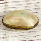 Vintage Iridescent Mother Of Pearl Seashell Brass Beaded Edge Hinged Trinket Box