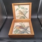 2 Vintage Mcm Bird Prints Framed In Wood Pictures 5 75 X 5 75 In Square