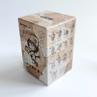 Hirono Echo Series Confirmed Figures Blind Box Never Growing Up   hidden    