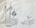 Flower Planet Expo 90 Japan Mike Giaimo Original Animation Flowers Concept Art A