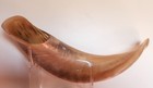 New Light Colored 15 7 8 Inch Beautifully Polished Kosher Shofar With Stand