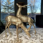 Vtg Large Brass Deer Sculpture Pair Buck Doe White Tail Detailed 14   t   11    W