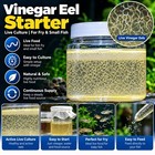       vinegar Eel Culture    Live Food For Fish Fry        Dense Dense Dense       
