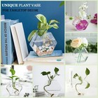 3 Pack Wall Hanging Glass Planter Hexagon Terrarium Home Office Decor Vase
