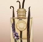 Burberry Goddess Eau De Parfum 100ml 3 3oz For Women Spray New Sealed Box