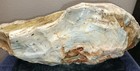 19lb Gary Green Jasper Rough From Oregon  Usa Cabochon Stock  37