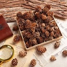 250pcs Mini Pine Cones Natural Small Pinecones For Christmas Crafts   Decor