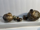 Vintage Otagiri Ceramic Partridge Quail Figurines Japan - Set Of 5