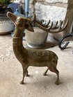 Vintage Solid Brass Deer - Large Buck And Doe
