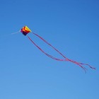 Rainbow Parafoil Kite With 5m Long Tails Single Line Parachute Kite Easy To F   
