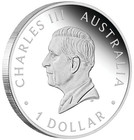 Australia Kangaroo King Charles Iii Obverse 1st Issue 2024 1oz Silver Proof Coin