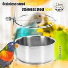 2 Pack Bird Feeding Bowls Cups Parrot Food Water Dishes  Stainless Steel Bird Bo
