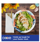 Dixie Disposable Paper Plates  10   Multi-color  210 Count