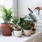 Galvanized Watering Can For Outdoor Indoor Plants  1 Gallon Decorative Countrysi