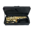  deal Alto Saxophone Eb Kit - Complete Beginner Saxophone With Case