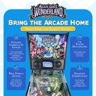 Wonderland Amusements Alice Goes To Wonderland Pinball Machine With Led Lighting