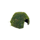 Java Moss On Coconut Shell Live Plants Aquarium Decoration Tank Nature Fish
