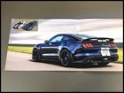 2019 Shelby Mustang Gt350 Gt-350 Ford Original Car Sales Brochure Folder