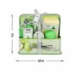 Spa Gift Basket  Pure Spa Basket -bath And Body Gift Set  Fresh Apple Bath Set 