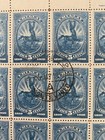 Lot Of  99  Uruguay 1910 Early Revolution Anniversary 5c Stamp   25 Stamp Pages
