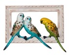 Blue   Green Parakeets Budgies Figurine Sculptured Bird Frame 10  Long Resin New