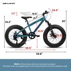 20 Inch Fat Tire Bike Adult 7 Speed Mountain Bike  Dual Disc Brakes  Steel Frame