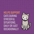 Sentry Calming Chews For Cats 4 Oz New Sealed - Stress Anxiety Relief Fast Ship