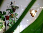 6pcs  30mm  Feng Shui Hanging Faceted Crystal Ball Prism Suncatcher