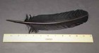 Black Turkey Feathers  Smudging Feather  Feathers For Smudging Or Decoration