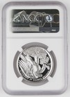 2018 W  25 American Eagle 1 Oz Palladium Proof Coin Ngc Pf70 Uc Early Releases