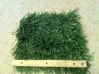 Game Used Turf  Brett Favre  Percy Harvin jared Allen  Chad Greenway  Winfield 