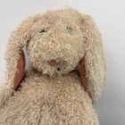 Jellycat Unisex Bunglie Bunny Plush 16in Tan Textured Stuffed Animal Jcinc68