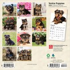 Browntrout   Yorkshire Terrier Puppies 2026 Mini Wall Calendar  7   X 7    16-mo