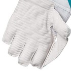 Rsd Xtreme Wicket Keeping Gloves  Adult  color May Vary  Men