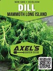 Mammoth Long Island Dill Seeds   Heirloom   Non-gmo   Fresh Garden Seeds