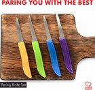 Select Paring Knife Set  2 5 Inch Blade 6 Inch In Length 4 Piece Set  Assorted