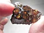 Newest Nwa Pallasite  Gorgeous Glowing Crystals  Nwa 14492 Meteorite 7 4 Gms