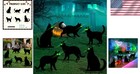 6 Unique Black Cat Silhouette Yard Signs - Glow-in-the-dark Halloween Decor