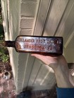 Rare  Carpathian Herb Bitters Hollander Bros Braddock  Pa Antique Bottle
