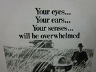 Days Of Heaven Movie Mini Ad Sheet Vintage Advertising Poster Film Richard Gere