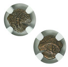 Widows Mite Ancient Coin Ngc Certified Average Grade Judean Prutah  103 - 76 Bc 