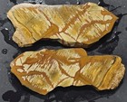 Owyhee Jasper Unpolished Stone 2 Slabs Lapidary Rough R238