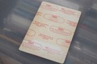 Neil Young  -   Unused Backstage Pass - Free Postage - Lot  9
