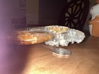 Large Polished Natural Ammonite Fossil Specimen  - Unique Display Piece