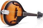 Donner Dml-1 Mandolin A-style 8 Strings Acoustic Mandolin Mahogany With Gig Bag