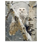 Snowy Owl Art Print Lodge Log Cabin Birch Trees Wall Decor Owl Collector Gift