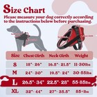 Rabbitgoo No Pull Dog Harness With One Buckle Reflective Adjustable No Choke