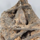 Fon Vodun Boccio Fetish Encrusted Statue Togo