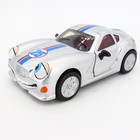 Chevron Cars No 44 Trent Techtron 25th Anniversary Plastic 6in